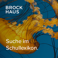 Logo Brockhaus Schullexikon