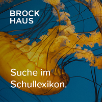 Logo Brockhaus Schullexikon Logo Brockhaus Schullexikon
