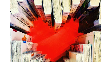 Ein rotes Herz, das von Büchern eingerahmt wird