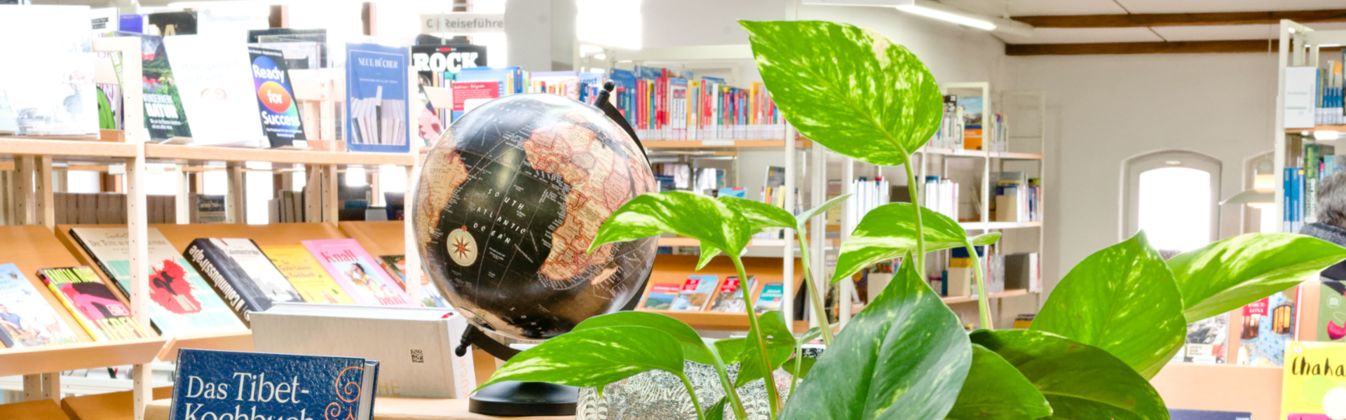 Bücherregal im Hintergrund, im Vordergrund Globus und Pflanze
