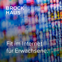 Brockhaus Medienkompetenz Fit im Internet